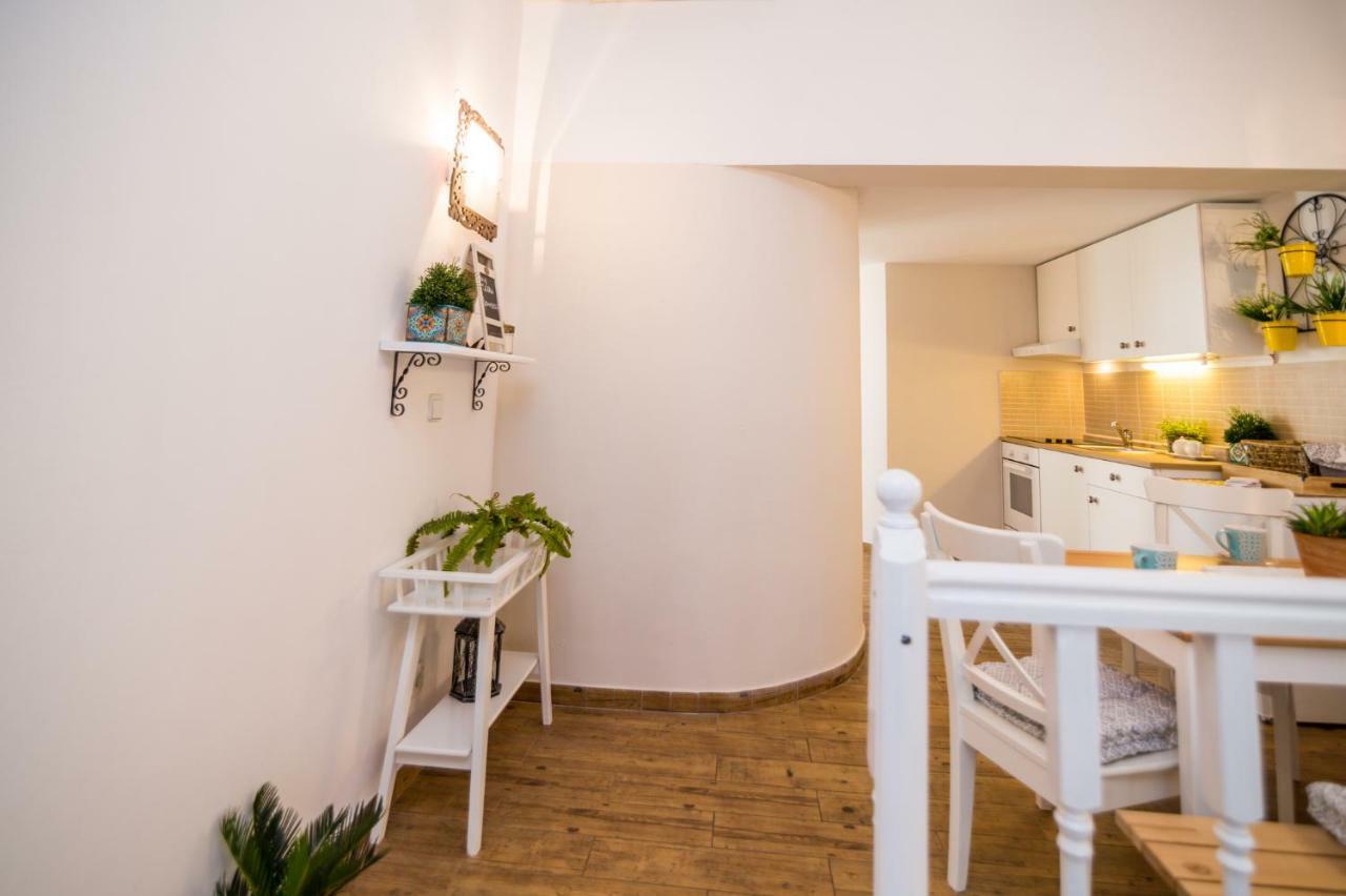 Apartments Terra บีโอกราดนาโมรู ภายนอก รูปภาพ